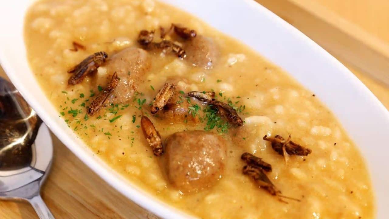 As a child, Yamamoto said he sometimes snacked on soy-sauce basted grasshoppers. In Tokyo, he indulged in insect cuisine at Take-Noko cafe, which embraces all things buggy. &quot;It's fun to select from a wider variety of dishes,&quot; Yamamoto said at the cozy second-floor cafe, surrounded by insect art and terrariums of skittering beetles, ants and cockroaches. &quot;Everything was tasty. In particular, the water bug cider was quite refreshing and delicious, like a green apple.&quot;(Image: Reuters)