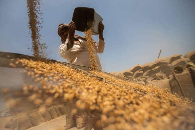 Cabinet raises MSP for six rabi crops for marketing season 2024-25 - Vimarsana News