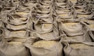Export duty on parboiled rice extended till March 31 next year