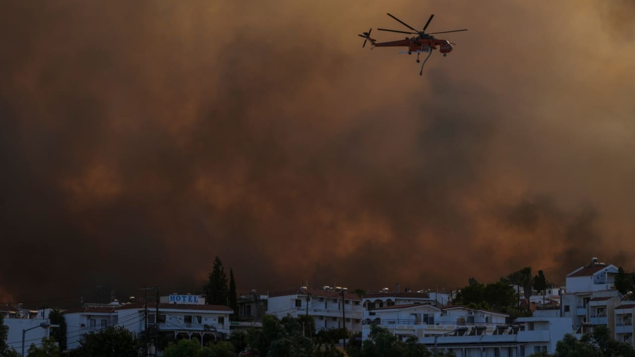 An inland nature reserve was damaged. T8he deserted island has been promised state support. (Source: AP)
