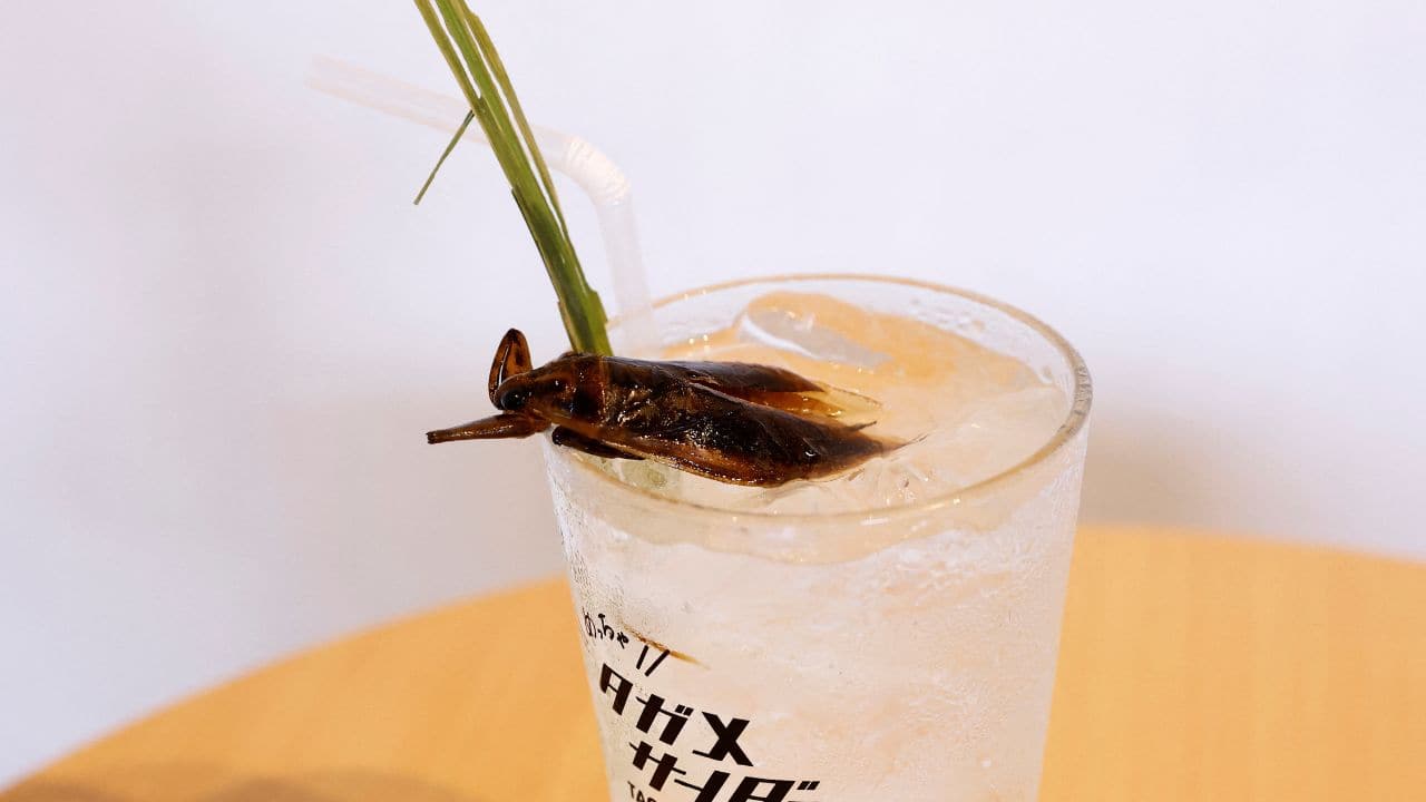 Several companies, including national bakery brand Pasco, have sold made cakes and snacks from cricket flour, and processed food maker Nichirei and telecom Nippon Telegraph and Telephone have invested in bug ventures in the past year.The term &quot;crickets&quot; also started to trend in Japanese media recently after reports the powdered insects were being used in school lunches and snacks. (Image: Reuters)