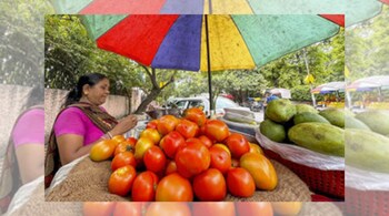 As per the ministry's data, average all-India retail price of tomato was Rs 111.71 per kg on Wednesday.