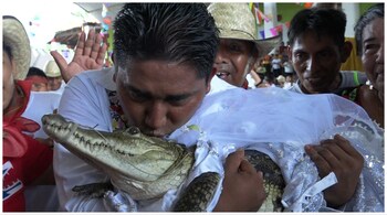 Man marries alligator