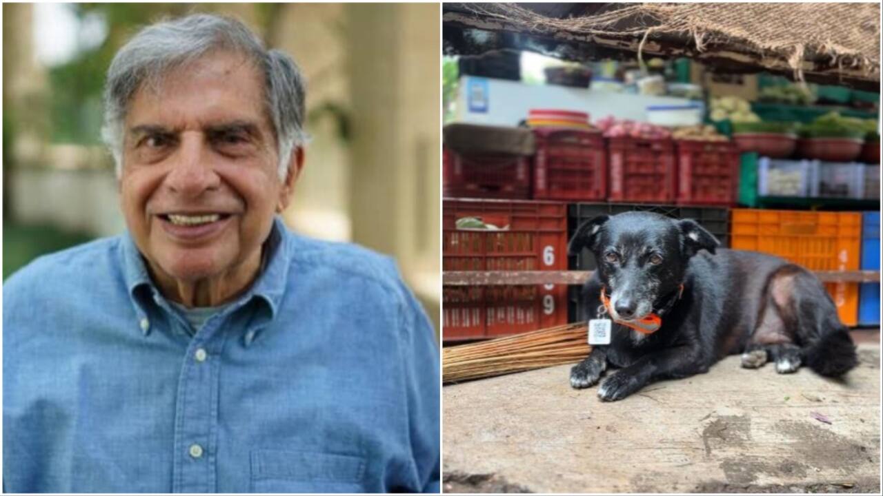 Ratan Tata’s appeal to avoid hurting animals taking shelter from rain: 'Check under cars'