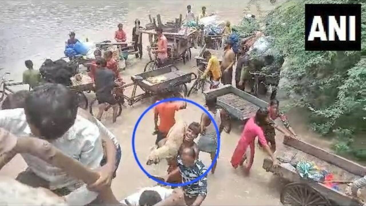 Delhi boy carries dog on shoulder in flooded area, wins hearts