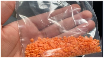 Masur (lentil) production in India is projected to reach a record 1.6 million tonnes in the 2023-24 rabi season, driven by increased acreage, states Consumer Affairs Secretary Rohit Kumar Singh.