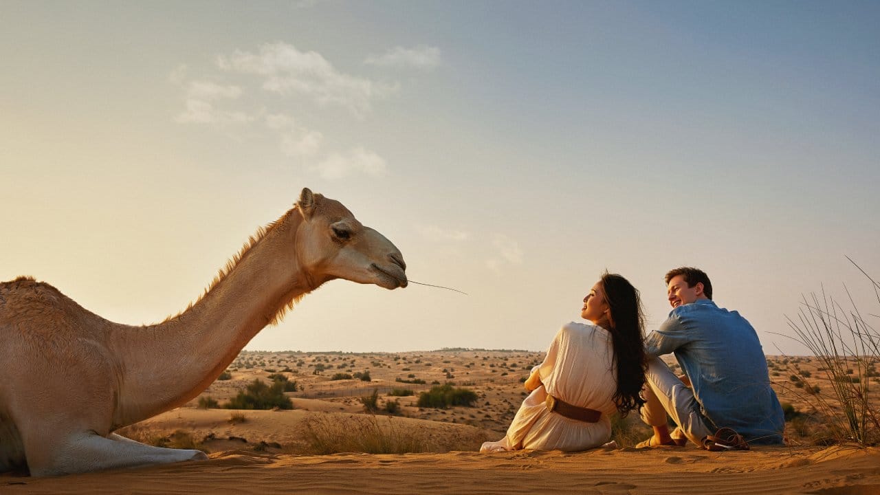 Couples can bond by engaging in cultural activities at Desert Safari Dubai, exploring the gold market, meeting aquatic life at the Dubai Aquarium, or dining at the city’s highly rated restaurants.