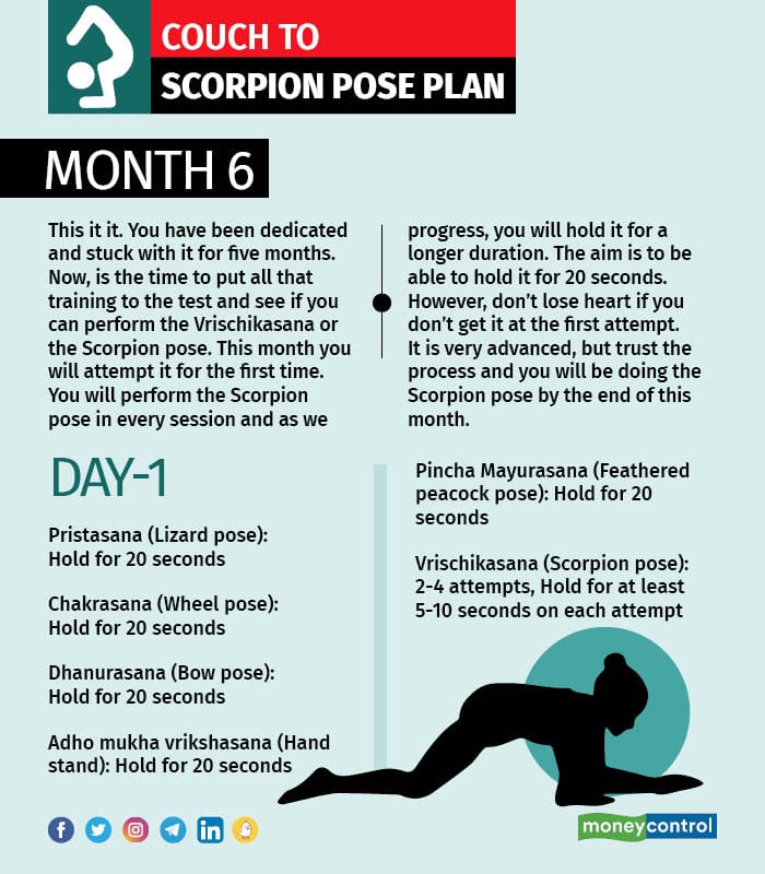 Scorpion Pose 101- Comprehensive Guide To This Advanced Pose - Zuda Yoga