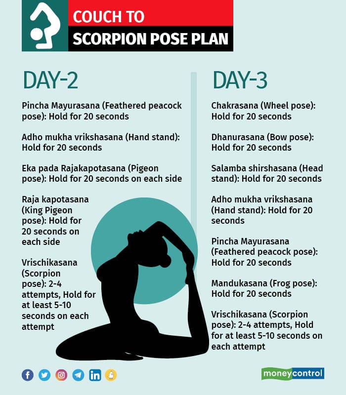 How to do Pincha Mayurasana – Yoga Pose Tutorial & Benefits - Adventure Yoga  Online
