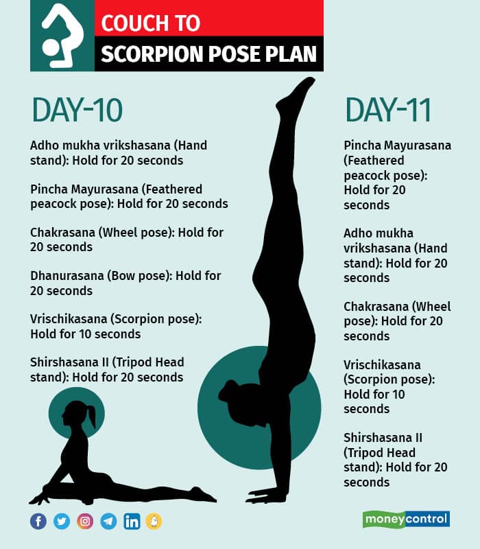 Scorpion pose ( VRISCHICK आसन सीखने का सबसे सटीक तरीका ) #Vrischikasana  #Benefits, Cautions & Guide - YouTube