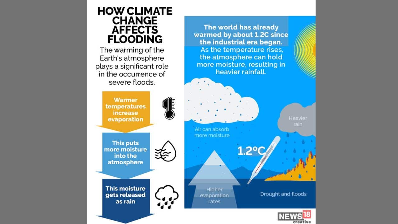 World's temperature has risen by about 1.2 C which plays important role in the occurence of severe floods (Image: News18 Creative)