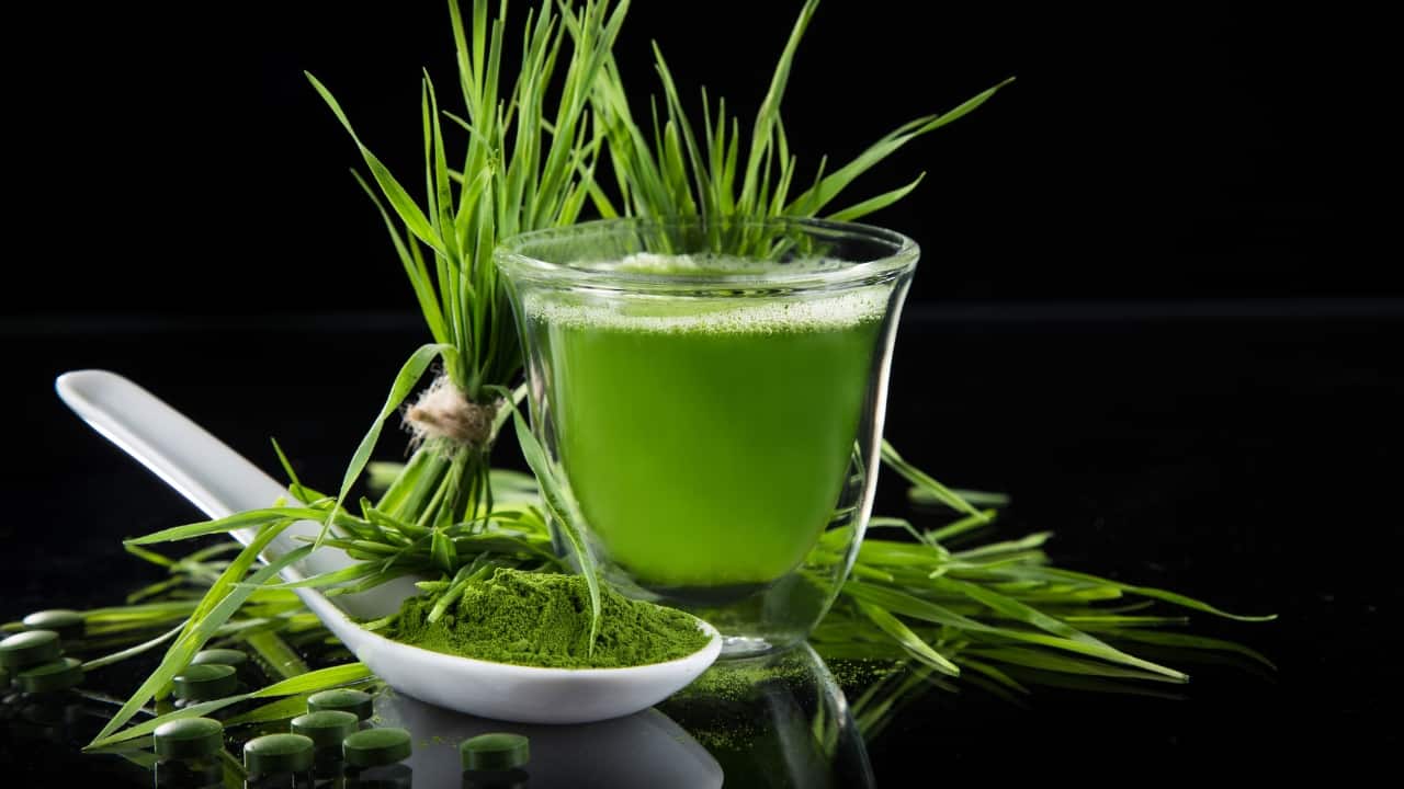 Vitamin B12 foods: Include these essential sources in your healthy diet