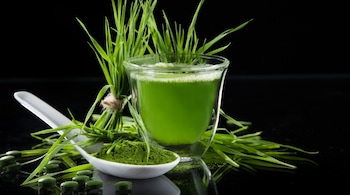 Health benefits of chlorella: You can add chlorella powder to smoothies or take it as a supplement to boost your daily intake of vitamin B12 (Image: Canva)