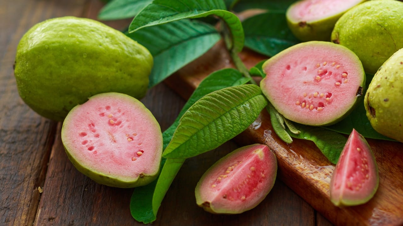 A Bright and Beautiful Guava Fruit Juicy and Delicious Hanging on a Tree  Branch Good for Wallpaper Background and Theme Stock Image - Image of amrood,  health: 189501337