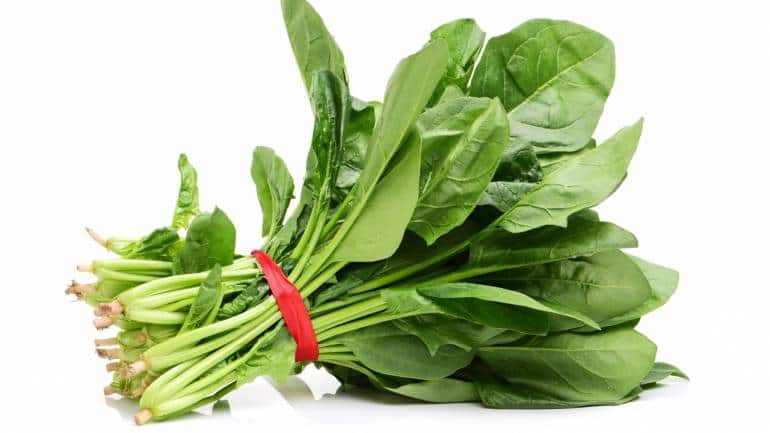 Spinach: Another leafy green that deserves a spot on your plate is spinach. Rich in Vitamin K and an array of other vitamins and minerals, spinach offers numerous health benefits. Whether steamed, stir-fried, or incorporated into omelettes and soups, there are countless ways to enjoy the versatility of this nutrient-packed vegetable (Image: Canva)