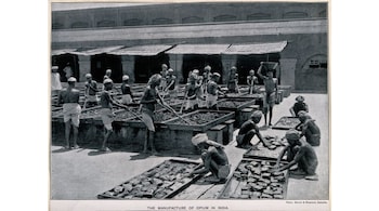 Opium production in Calcutta, India, in 1900. Workers in dhotis and turbans are mixing and balling opium. (Photo: Bourne & Shepherd courtesy www.plantcultures.org/Wellcome Library, London via Wikimedia Commons)