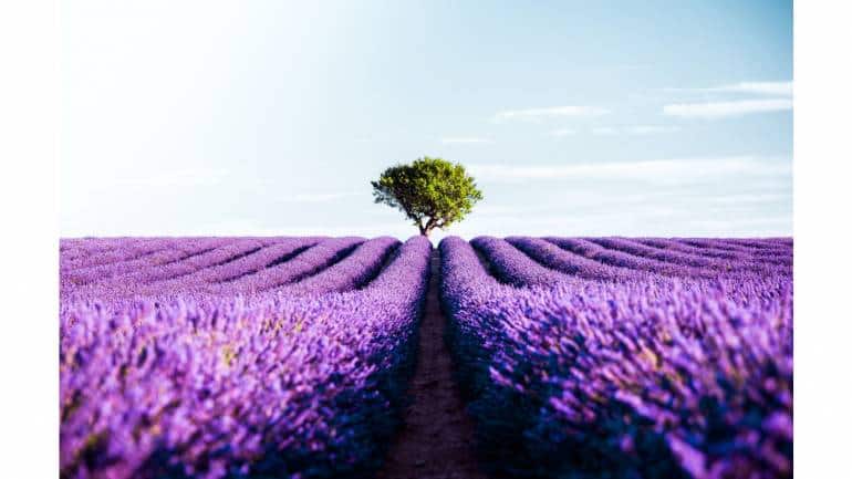 8 most beautiful road trips in the world - Vimarsana News
