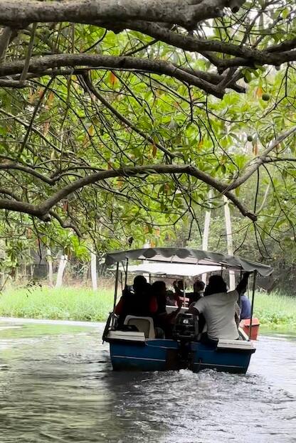 Boat ride on Poovar lake, through a mangrove forest, near Thiruvananthapuram.