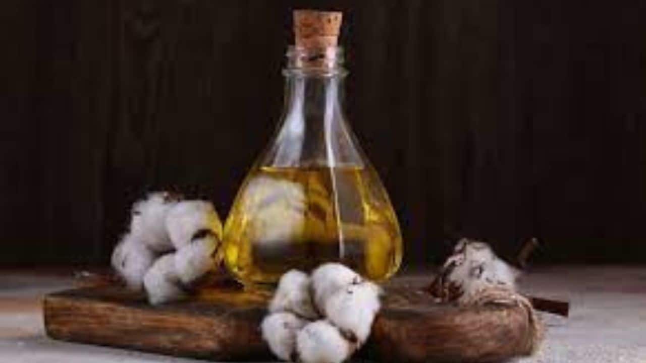 Cotton industry seeks subsidies, import duty cut to revive fortunes of mills