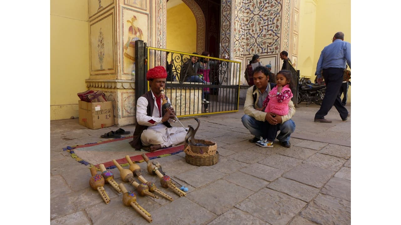 World Snake Day 2023: The Kalbelia tribe, visible but voiceless