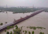 Delhi govt to engage academic institutions, NGOs for study on frothing in Yamuna