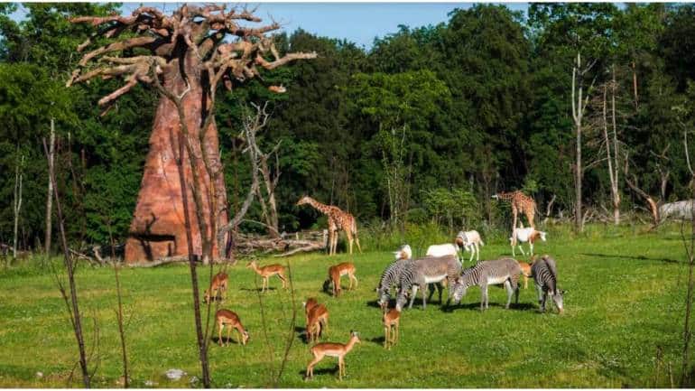 8 finest zoos in India and abroad - Vimarsana News