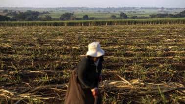 Do Indian banks care about climate finance?
