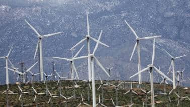 Capitalism alone won’t save the planet