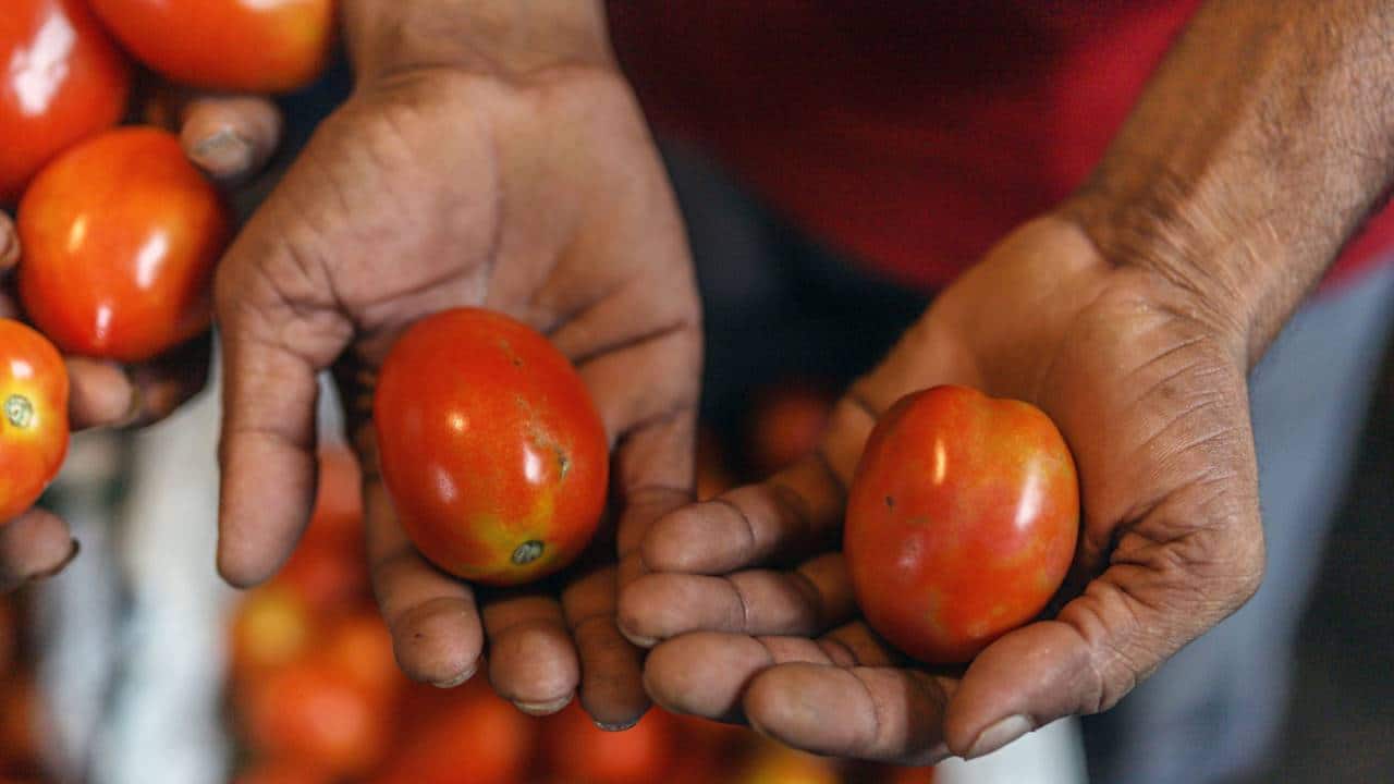 Food inflation needs to fall more, says government source