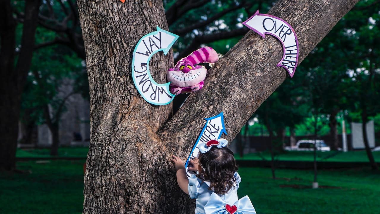 (Representational image by Becerra Govea via Pexels)