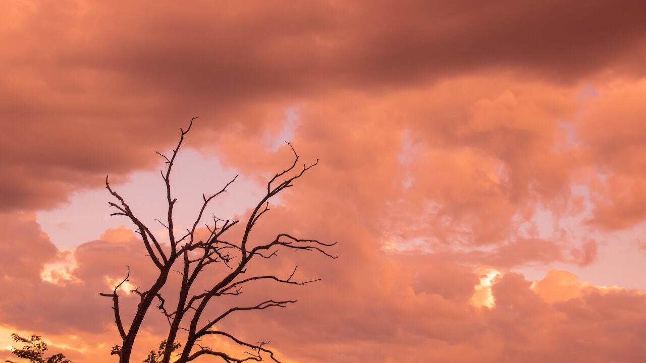 Such sunsets are more likely to appear on volcanic islands such as Tenerife, where the unique volcanic dust scatters in the air. (Photo: Pierre Lombard via Pexels)