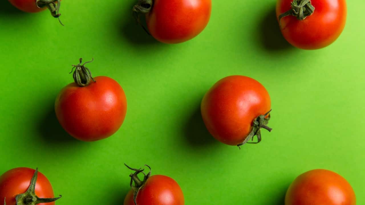 Tomatoes have gone missing from our juice and salads. It's the latest whodunnit in town