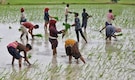 Spatial spread of monsoon needs to correct for food inflation to cool, say economists