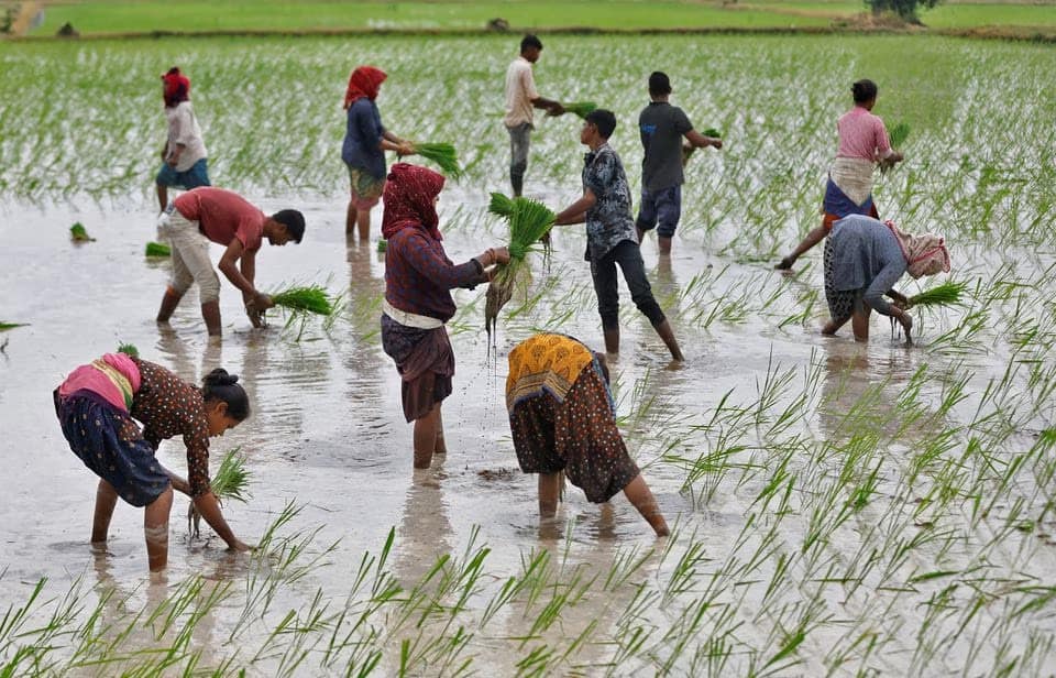 Spatial spread of monsoon needs to correct for food inflation to cool, say economists