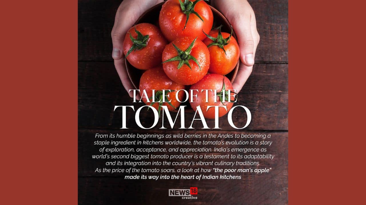 In Pics The Tomato story A visual tale of its journey