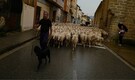 A shepherd keeps up the ancient rite of guiding sheep across northern Spain