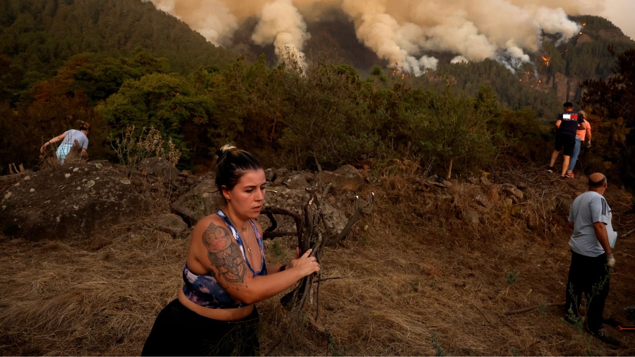 The emergency services are expecting temperatures to rise on the island over the weekend and a change in winds from the early hours of Saturday morning could push the fire westwards from northeastern Tenerife. &quot;The evolution of the fire is slower now,&quot; the head of the island's emergency service, Pedro Martinez, told reporters. Around 200 firefighters will continue to work through the night. (Image: Reuters)