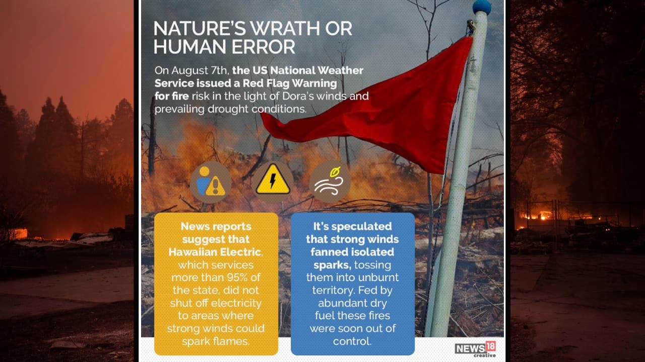 On August 7, the US National Weather Service issued a Red Flag Warning for fire risk in the light of Dora’s winds and prevailing drought conditions. (Image: News18 creative) On August 7, the US National Weather Service issued a Red Flag Warning for fire risk in the light of Dora’s winds and prevailing drought conditions. (Image: News18 creative)