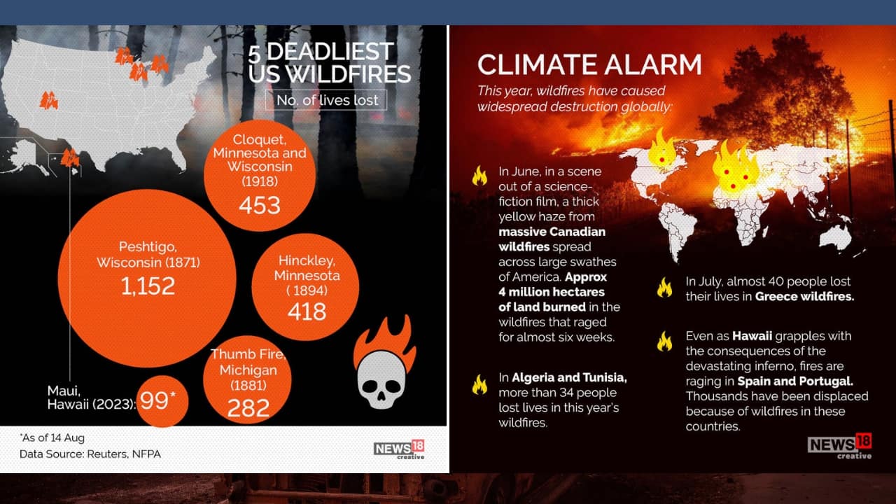 This year, wildfires have caused widespread destruction globally. (Image: News18 creative) This year, wildfires have caused widespread destruction globally. (Image: News18 creative)