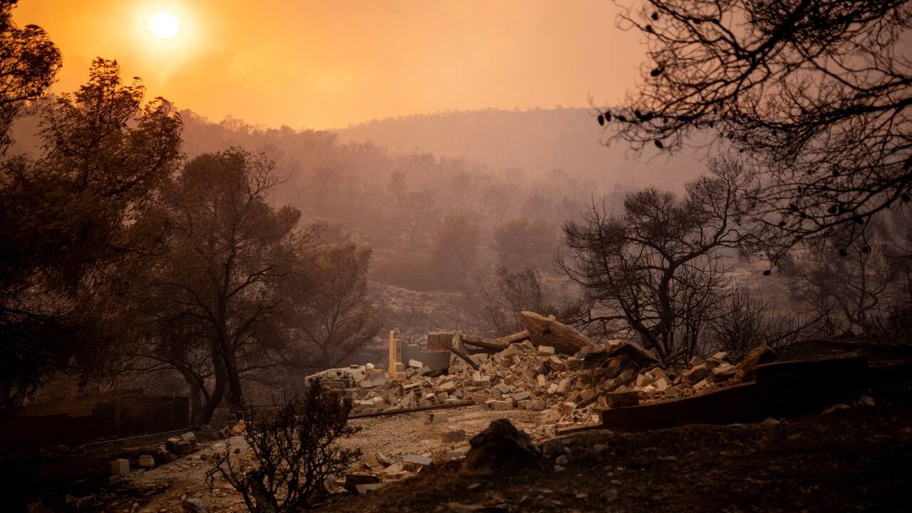 The bodies were found near the sprawling Dadia forest in the northeastern Evros region, a popular route for migrants from the Middle East and Asia crossing the river from Turkey into the European Union. An uptick in crossings was reported this month. (Image: Reuters)