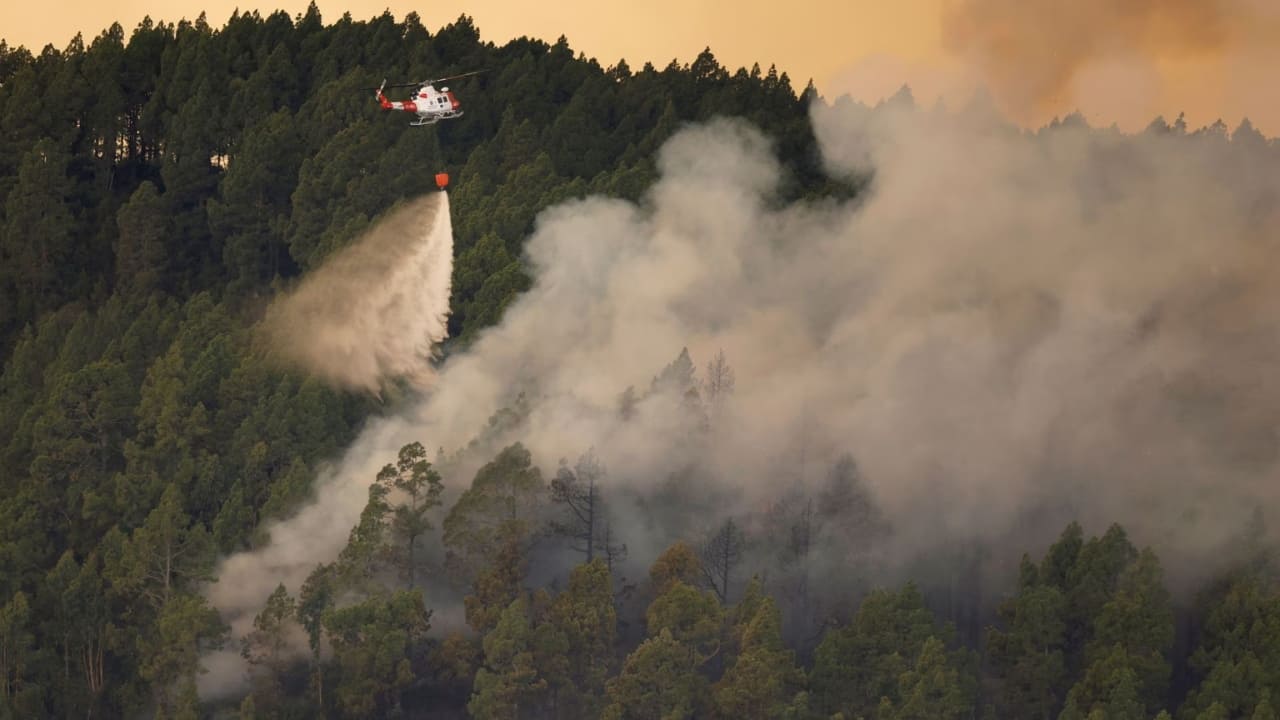 All access to the mountains on the island, including tourist-favourite Mount Teide and the Teide Astrophysics Institute, has been closed off to prevent any incidents. Tenerife's two airports were operating normally, Spanish airport operator Aena said. (Image: Reuters)