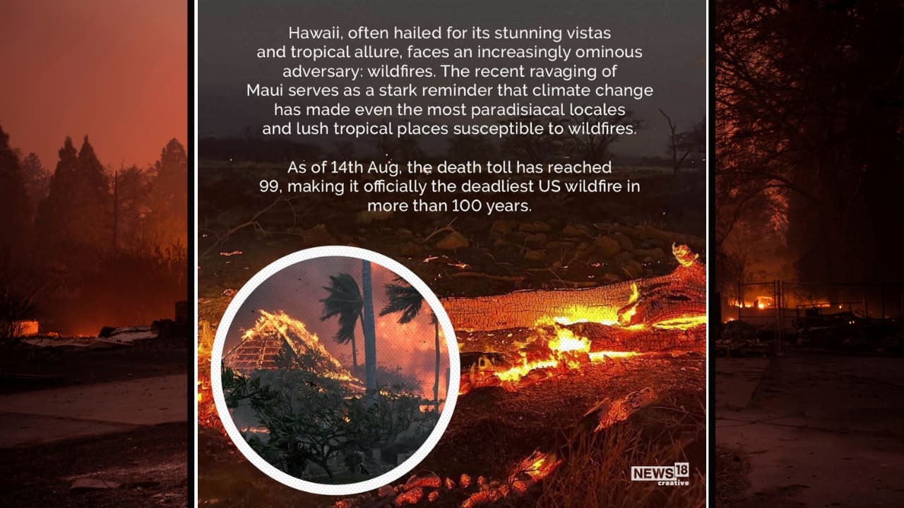 Hawaii Wildfires What caused the blaze and how it became so