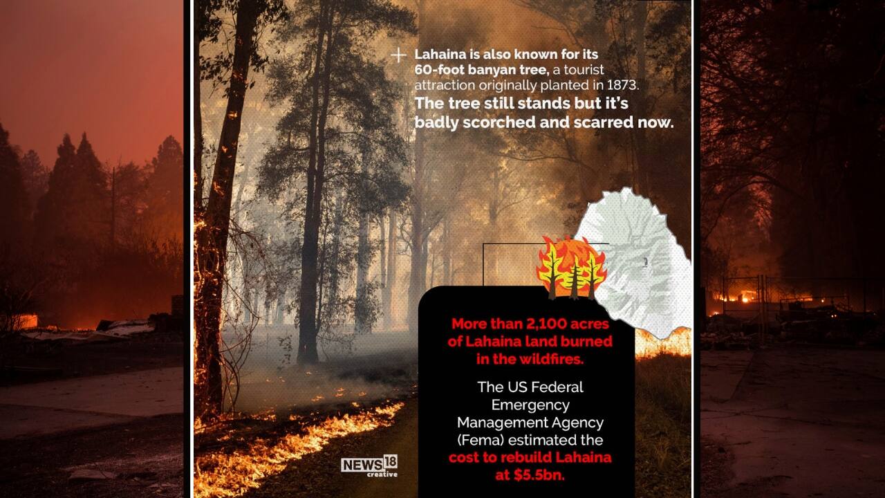 More than 2,100 acres of Lahaina land burned in the wildfires. (Image: News18 creative) More than 2,100 acres of Lahaina land burned in the wildfires. (Image: News18 creative)