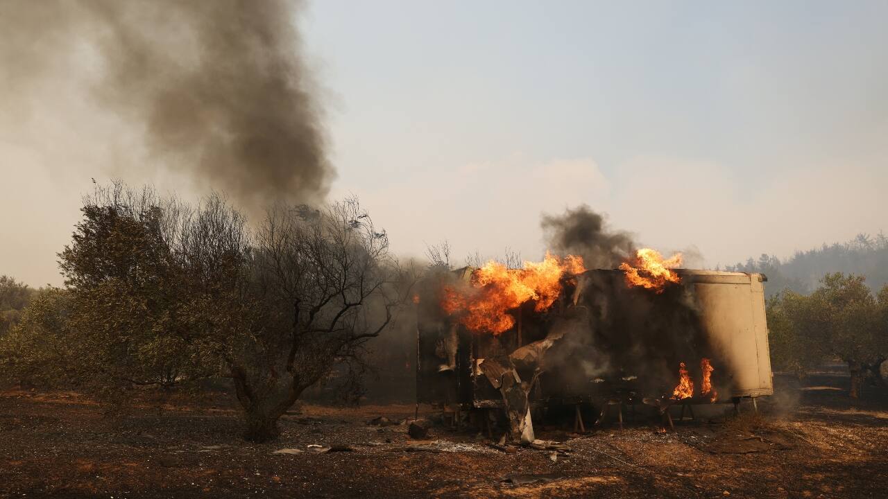 The fire brigade said authorities were investigating the possibility that the bodies were of migrants who entered the country illegally because no residents in the area had been reported missing. The government expressed its &quot;deepest sorrow&quot; over the deaths, its spokesman Pavlos Marinakis said. &quot;Unfortunately, their stay in the forest of Dadia proved fatal,&quot; he said. (Image: Reuters)