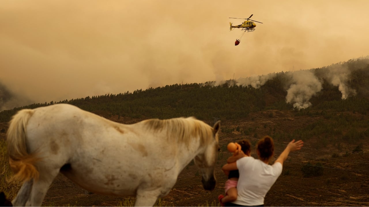 Early in the day, while waterbombing aircraft managed to stabilise the blaze south of the Mount Teide volcano - Spain's highest peak - the flames advanced &quot;out of control&quot; on the northern flank across dry woodland towards a valley where several camping sites are located, blanketing much of the island with smoke and ash. (Image: Reuters)