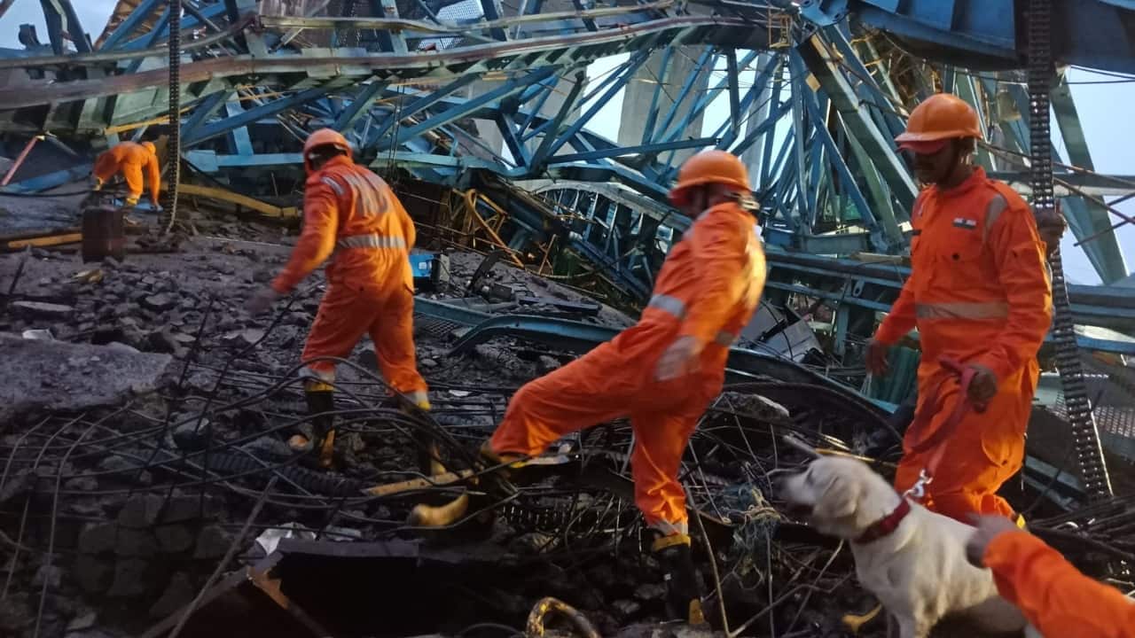 Officials said that the machine was being used in the construction of Phase III of the Samruddhi Express Highway late at night. (Image: PTI)