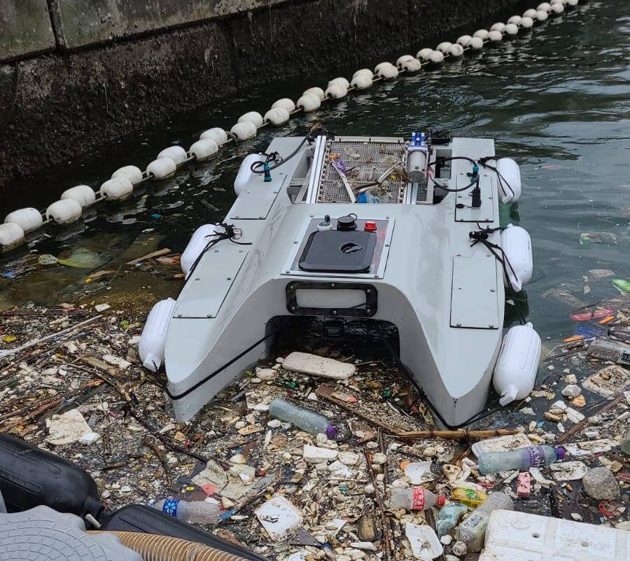 AI for the environment