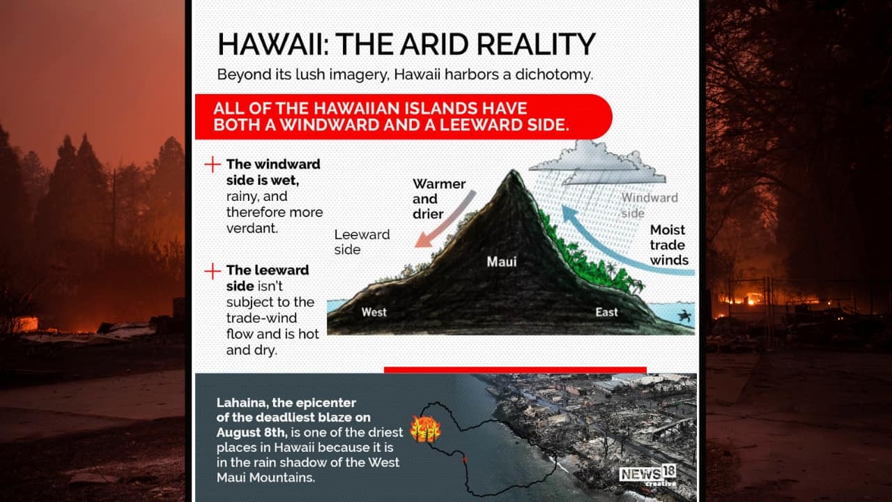 Hawaii Wildfires What Caused The Blaze And How It Became So