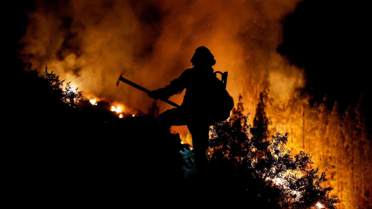 La furia de las inundaciones de Himachal por los mortales incendios forestales de Hawái: una mirada a los fenómenos meteorológicos extremos en todo el mundo