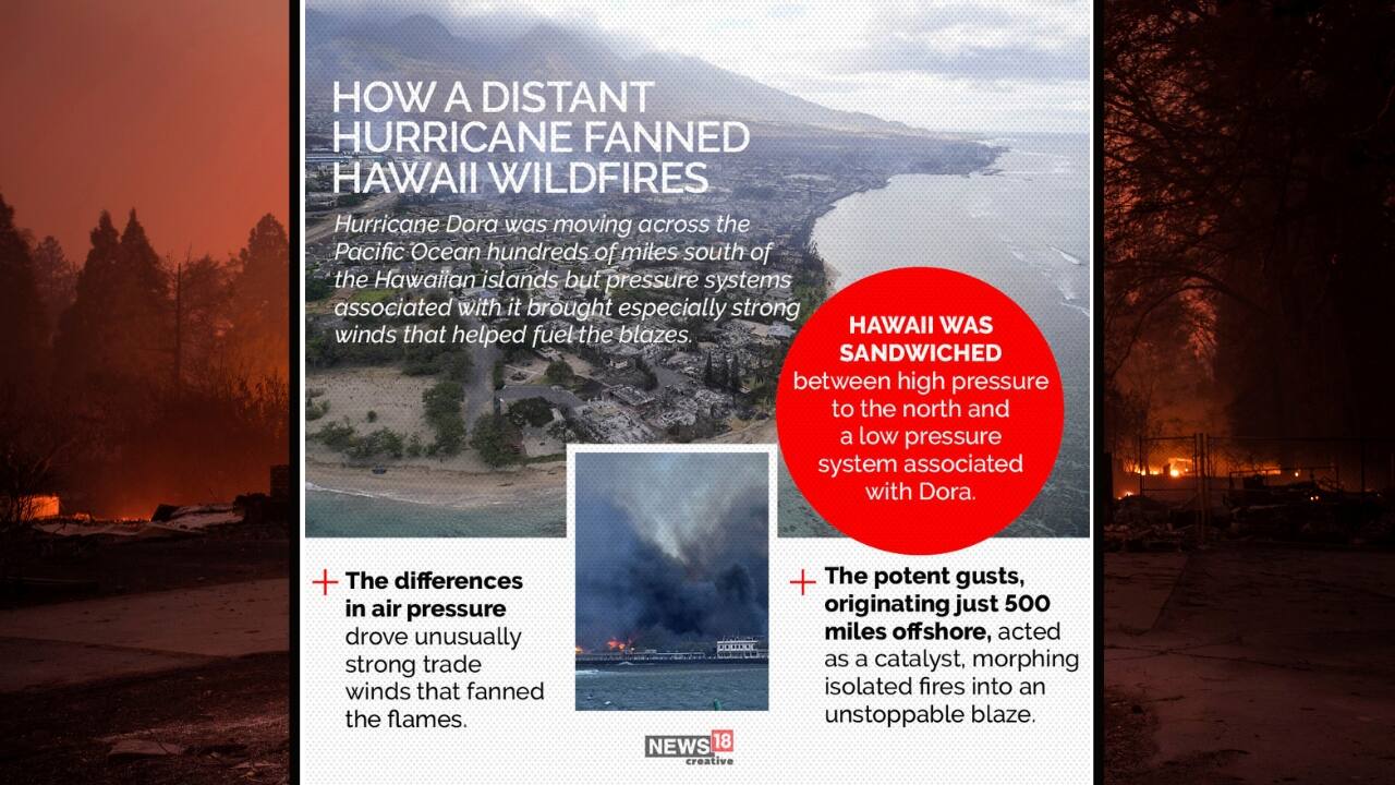 Hawaii was sandwiched between high pressure to the north and a low pressure system associated with Dora. (Image: News18 creative) Hawaii was sandwiched between high pressure to the north and a low pressure system associated with Dora. (Image: News18 creative)